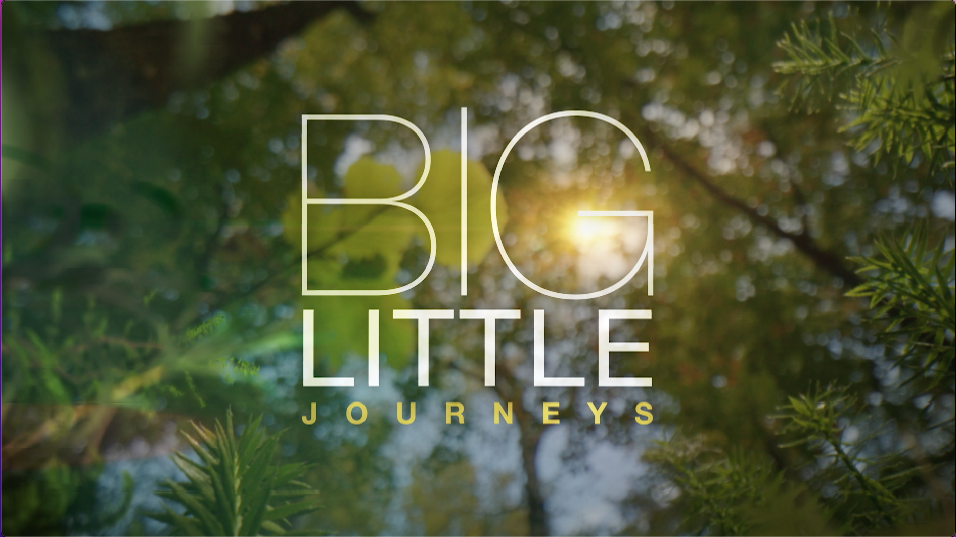 프레임레이트변환