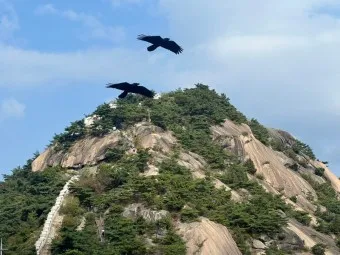 인왕산 등산코스 둘레길 숲속쉼터 기차바위 지도_4