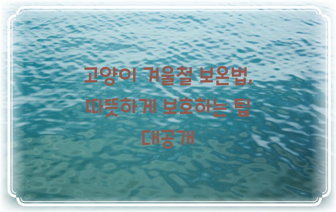 고양이 겨울철 보온법, 따뜻하게 보호하는 방법