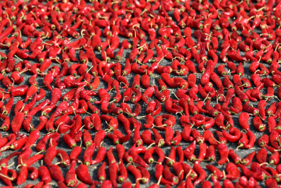 매운맛이 뇌를 자극하는 방식과 중독성의 비밀