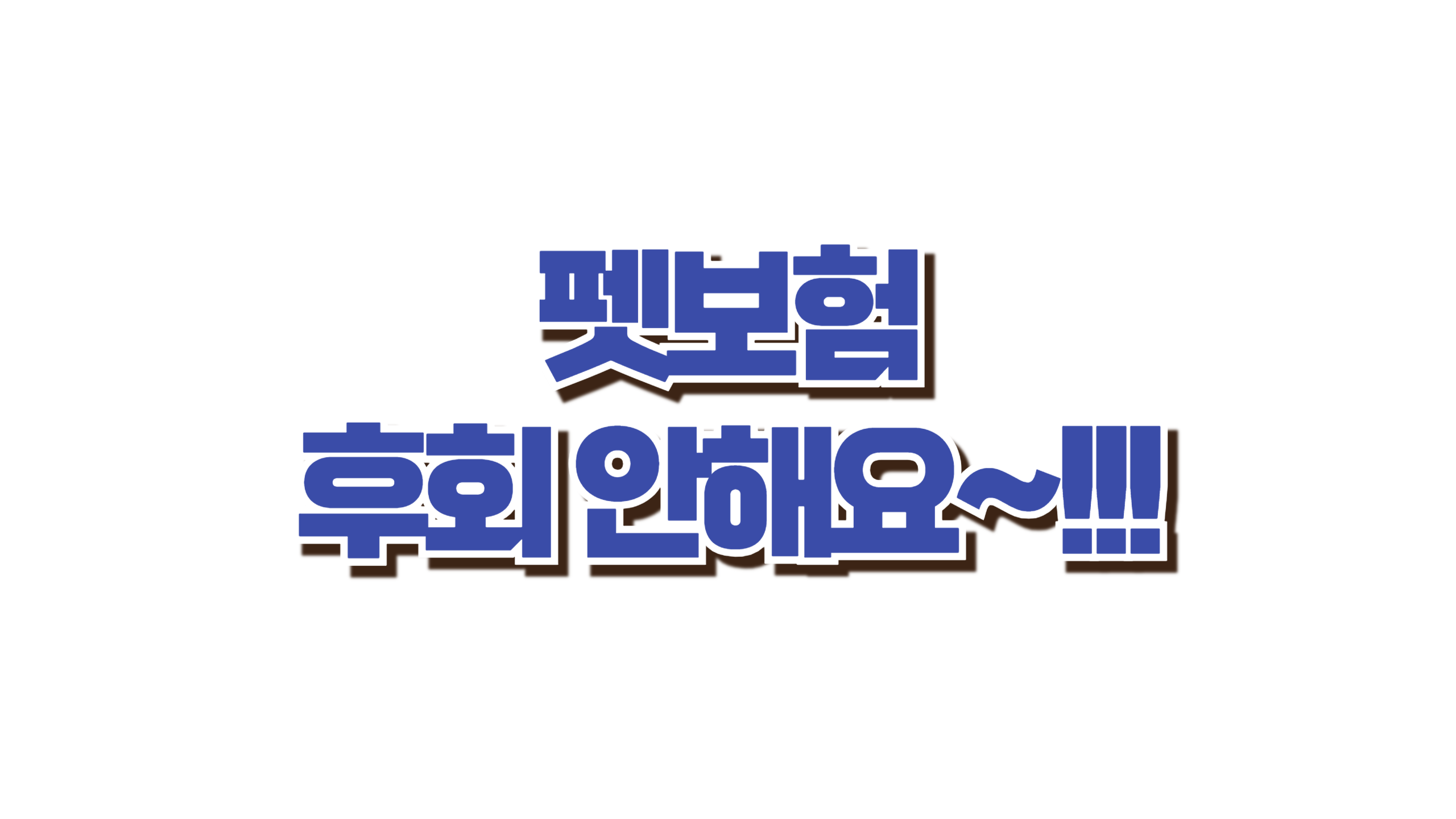 펫보험, 직접 써본 리얼 후기 사진