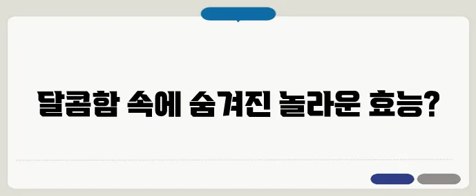 체리모야: 맛과 영양이 풍부한 열대 과일의 매력