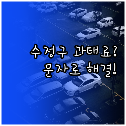 성남시 수정구 주정차단속 문자 알림 ..