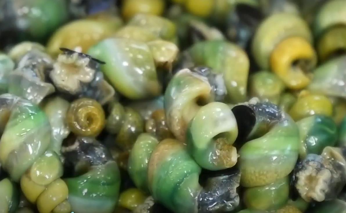 6시내고향 봉덕신시장 고디탕 다슬기탕 재료 다슬기