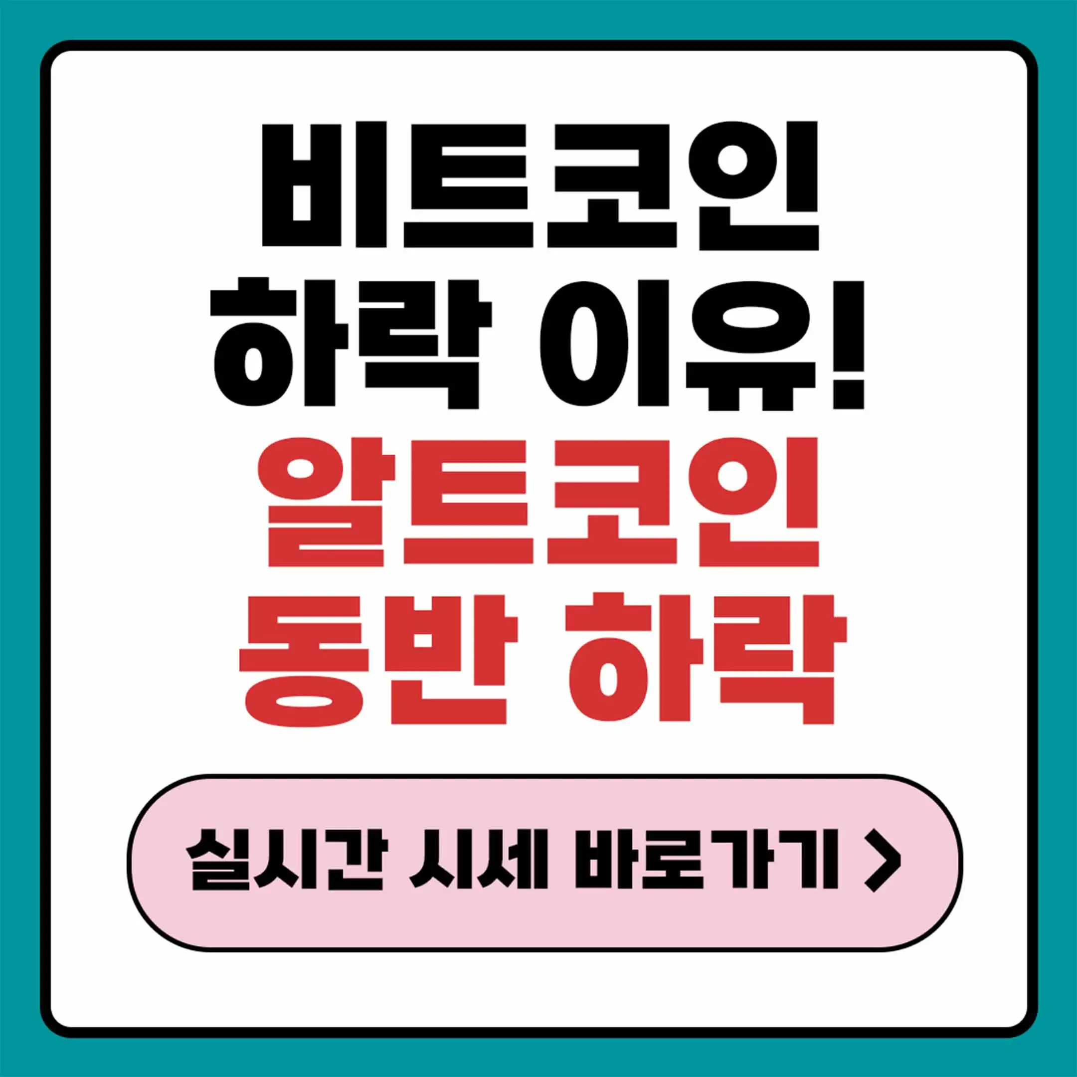 비트코인 시세