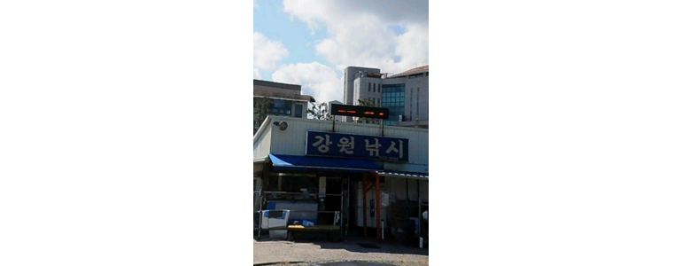 동해시 낚시용품