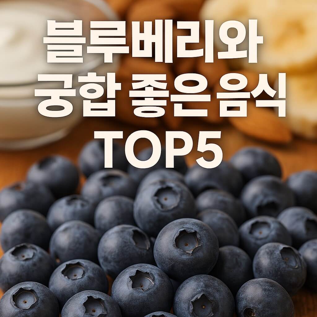 블루베리와 궁합 좋은 음식 TOP5, 함께 먹으면 시너지 UP! 썸네일 이미지