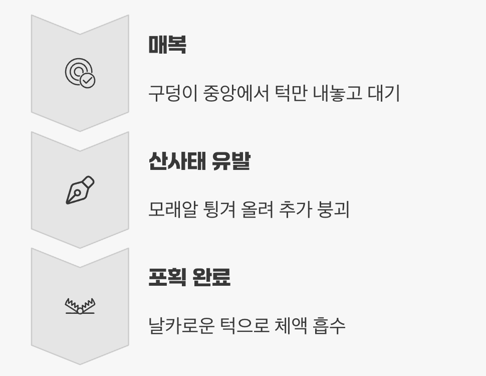 기다림의 명수, 땅속의 암살자