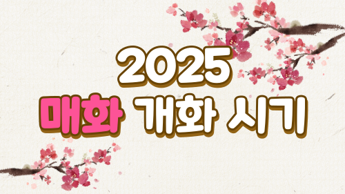 2025매화개화시기