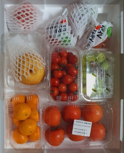 경기도 건강과일 지원사업을 소개합니다 신청방법및 안내