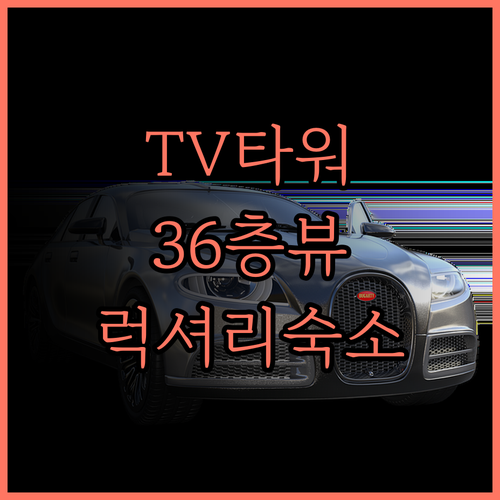 TV-타워 1.. 36층 전망 수영장