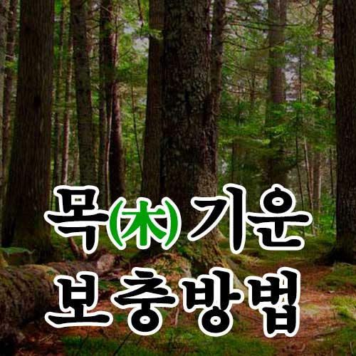 목기운 보충방법 - 썸네일