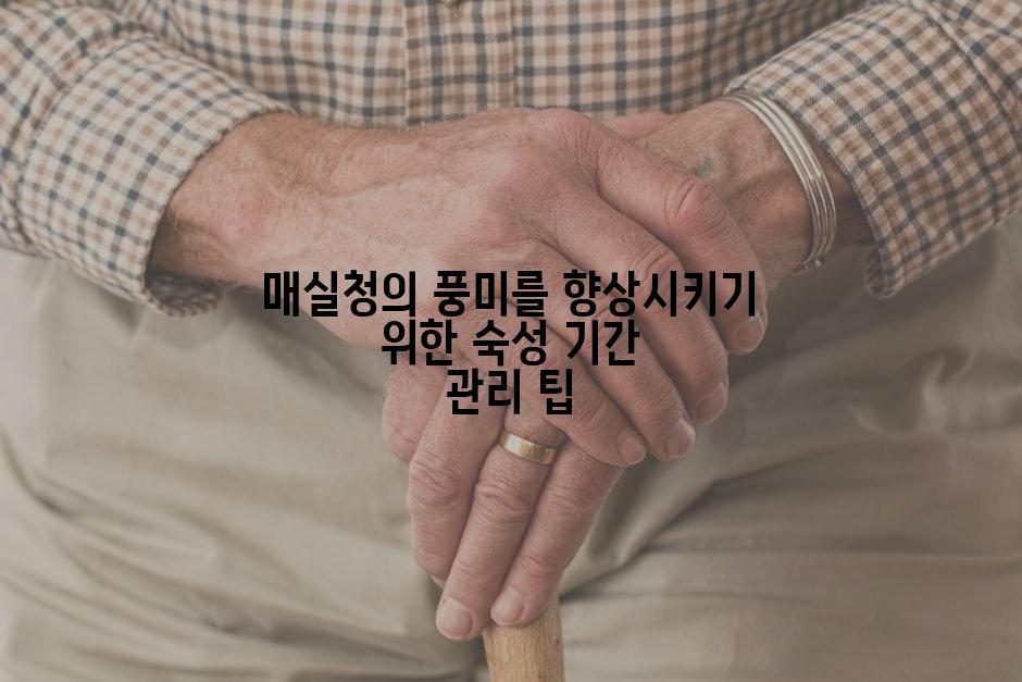 매실청의 풍미를 향상시키기 위한 숙성 기간 관리 팁