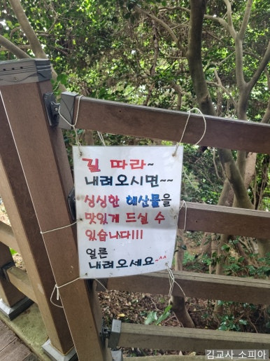 부산 태종대 폭염 여행 리얼후기🌊 여름 필수템 8가지 추천