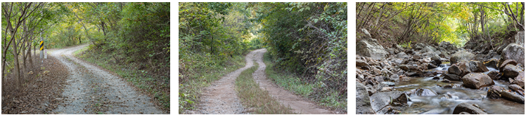 광양 백운산 둘레길 대표 코스 추천 : 천년의 숲길, 섬진강 매화길, 외갓집 가는길, 달 뜨는길