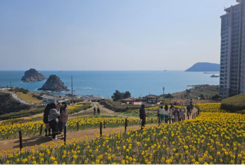 경상도 꽃구경