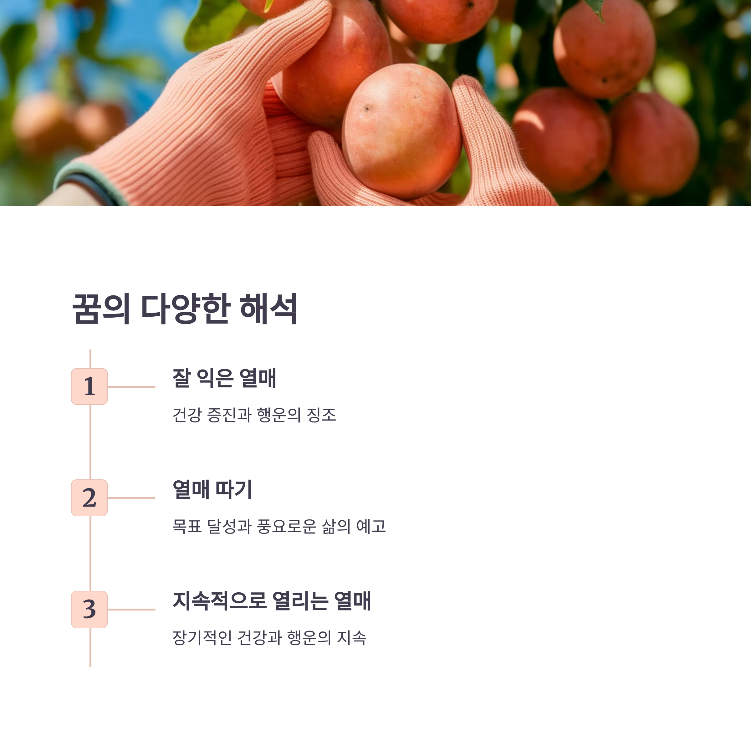 나무에서 열매가 풍성하게 맺히는 꿈