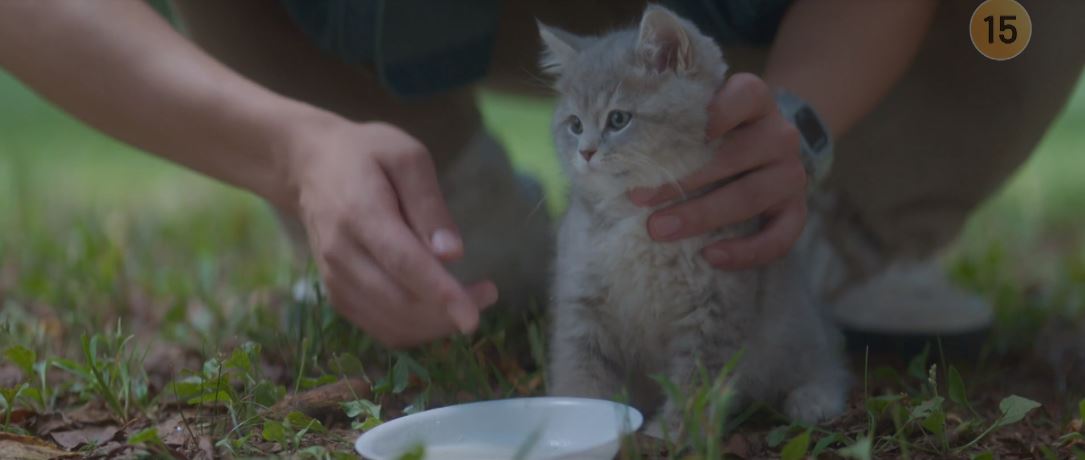 반짝이는워터멜론_14회