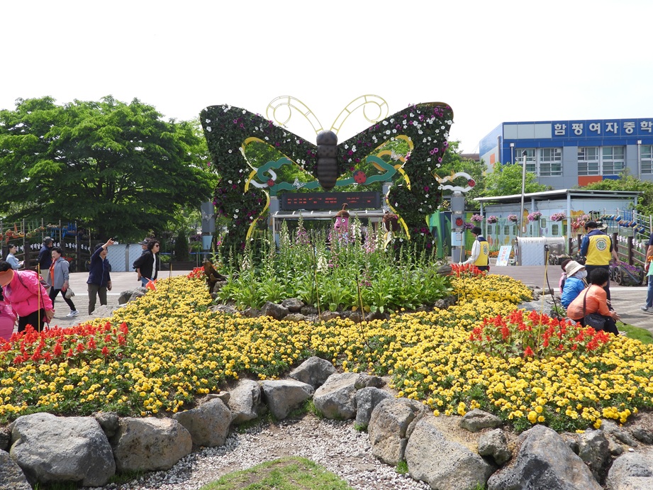 자연과 함께하는 봄 여행, 함평 나비대축제 완벽 가이드, 축제 정보, 일정, 꿀팁, 프로그램, 교통편, 정복