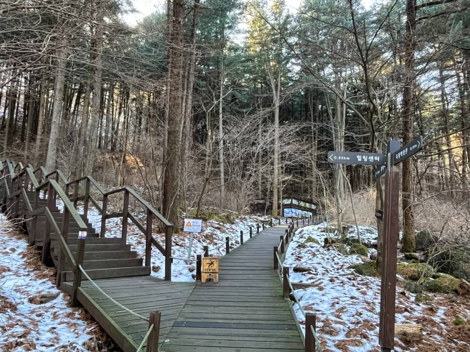 산림청 명품숲길 겨울 트레킹 : 가평 잣향기 피톤치드길 코스·주차·팁