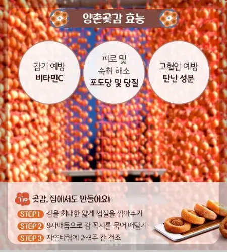 양촌 곶감축제_10