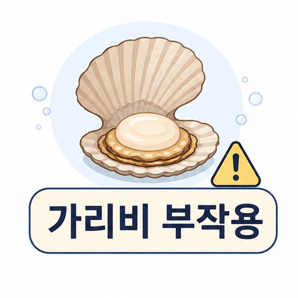 가리비와 주의 아이콘으로 표현한 가리비 부작용 안내 이미지