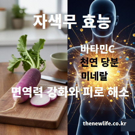 자색무의 비타민C&middot;천연 당분&middot;미네랄이 면역력 강화와 피로 해소에 도움이 되는 효능을 설명하는 인공 이미지