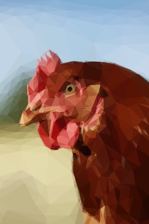 2026년 닭띠 일년 운세 &ndash; 평가와 결과가 분명해지는 해