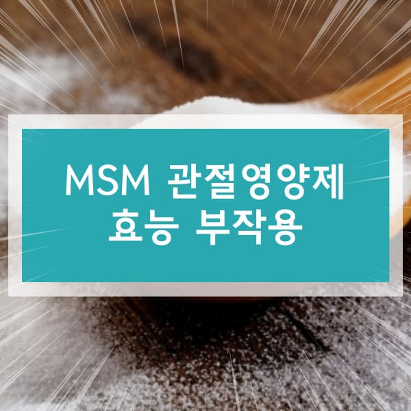 MSM 효능 부작용