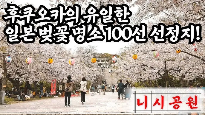 벚꽃 명소 추천 축제 유명한곳_8