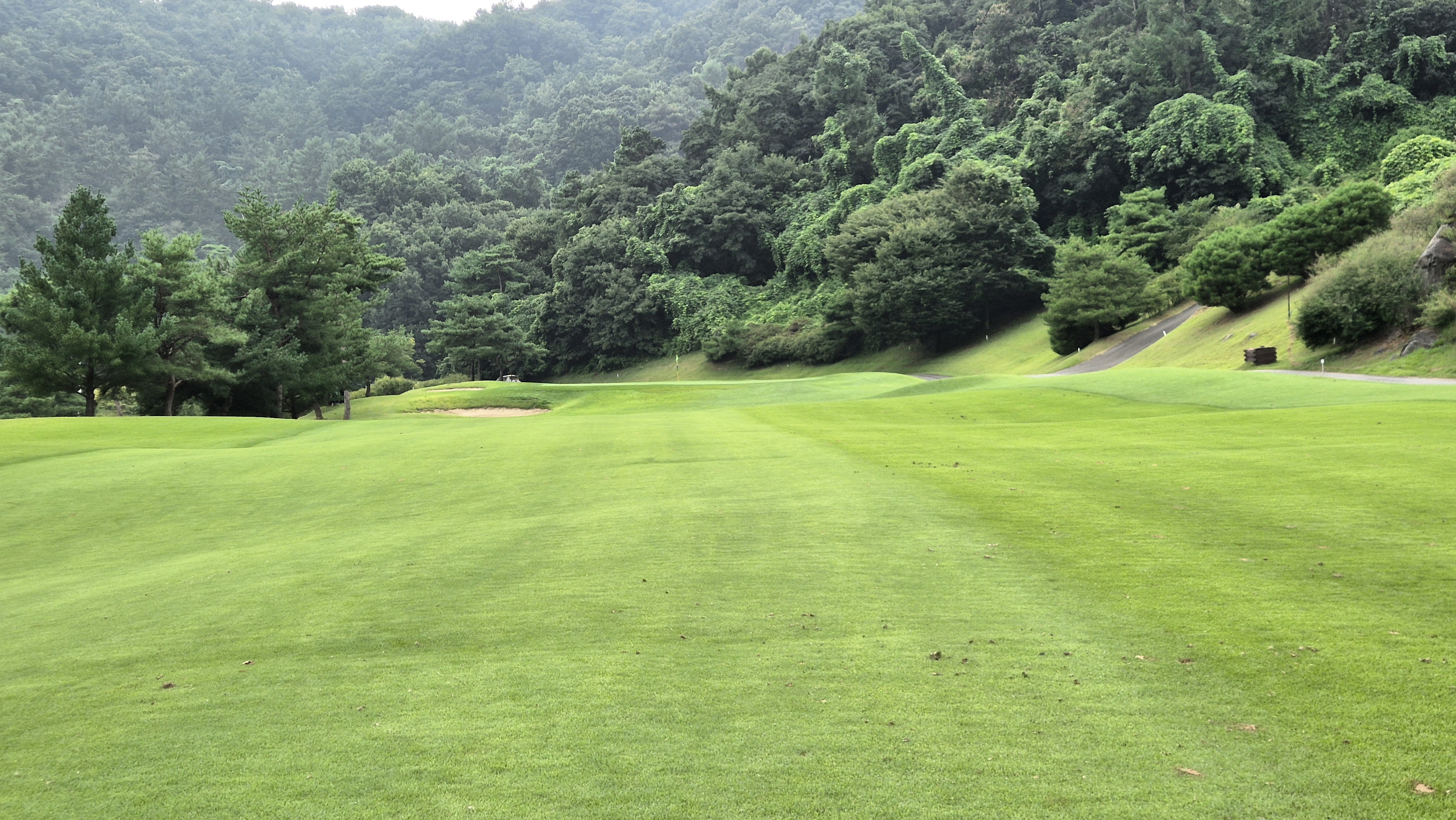 골프존카운티 진천