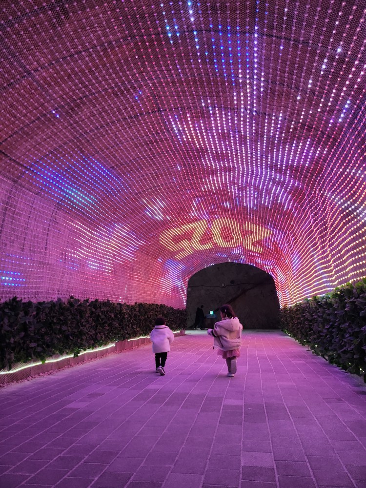 LED 전시