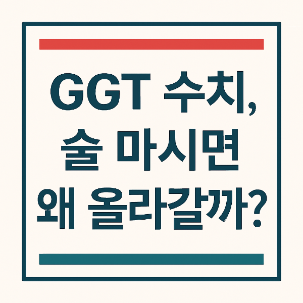 감마지티피수치