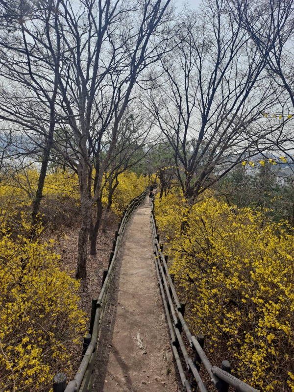 서울숲 내려가는 길