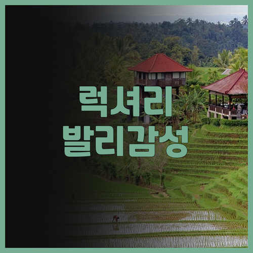 Sea, to Stay 추천! 발리 ..