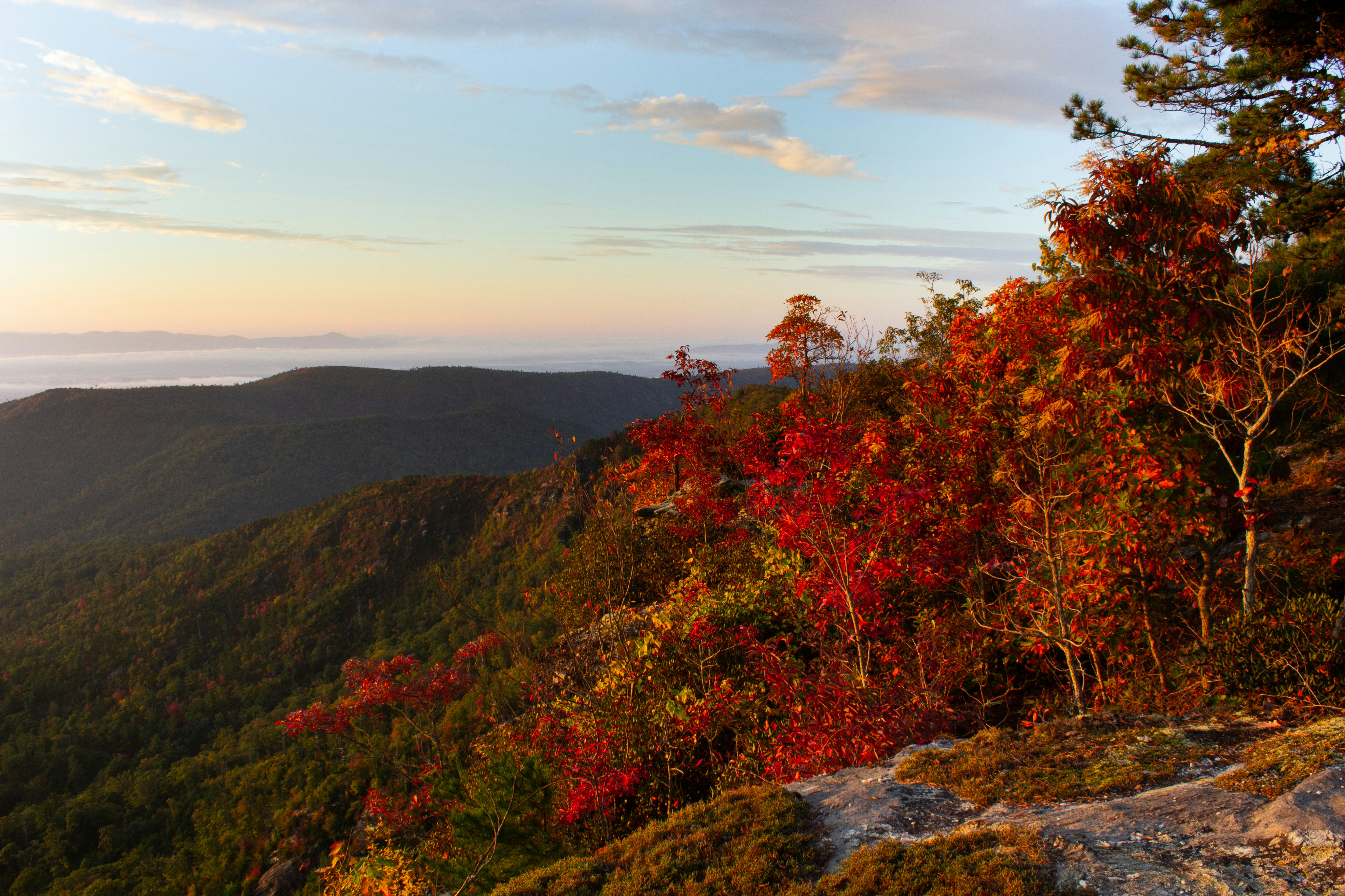 한국의 가을 산