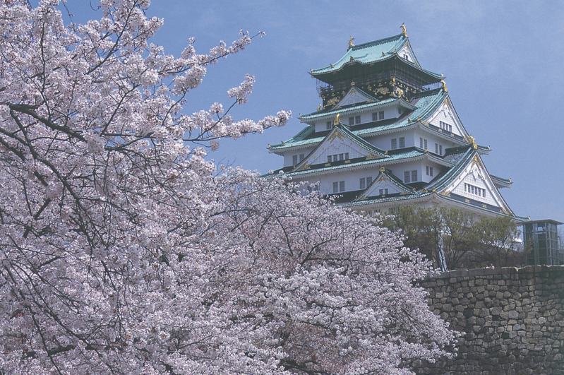 벚꽃핀오사카성