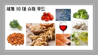 슈퍼푸드 종류 효능_14