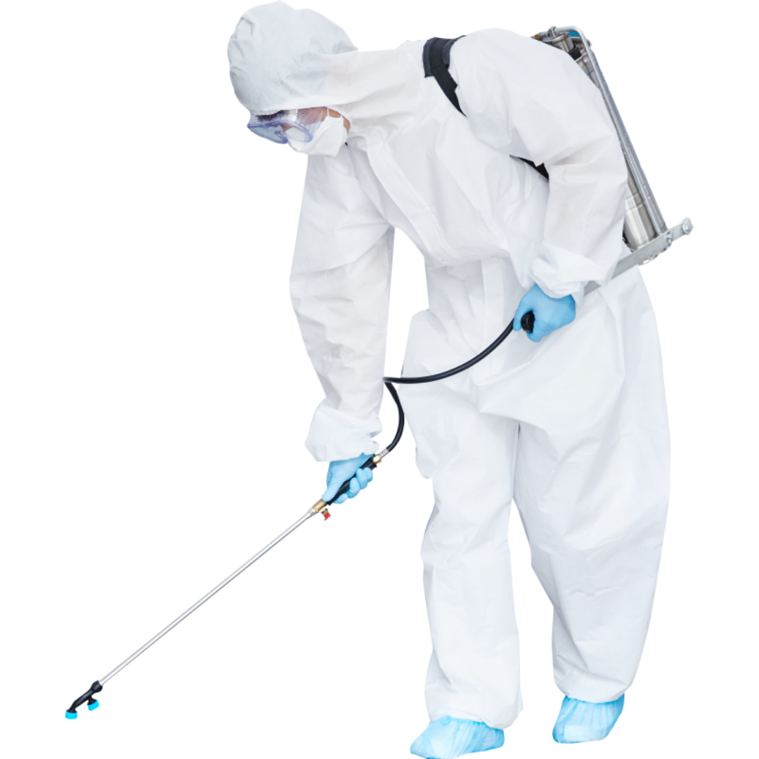 방역하고 있는 모습