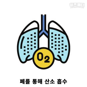 혈압 정상수치