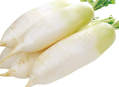 약보다 낫다! 무의 놀라운 효능 3가지