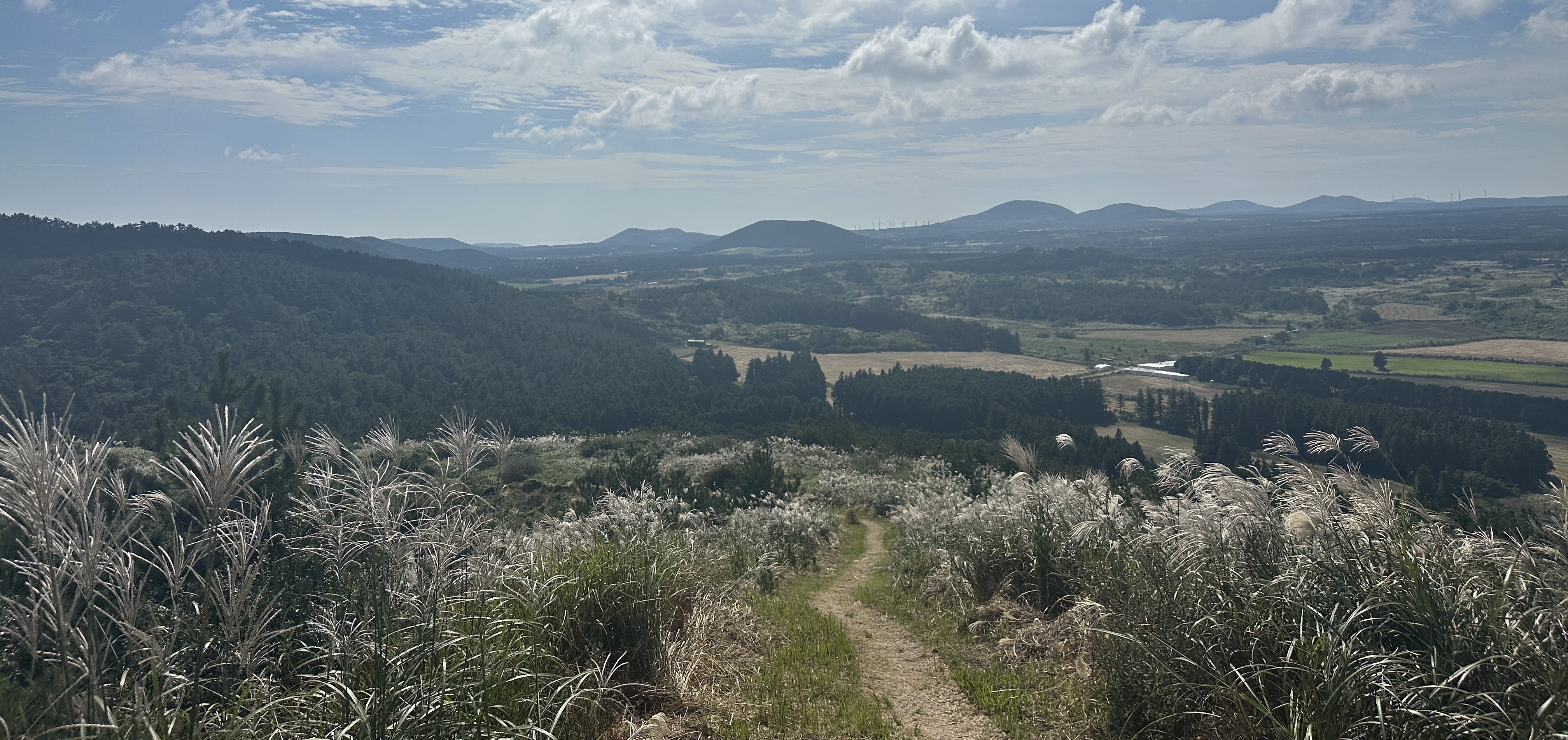 안돌오름 내려가는길