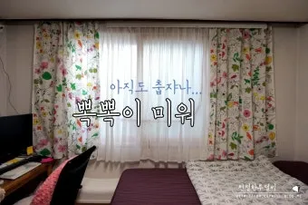 방풍 나무 가지 정리 창틀 보수 베란다 물건 고정_8