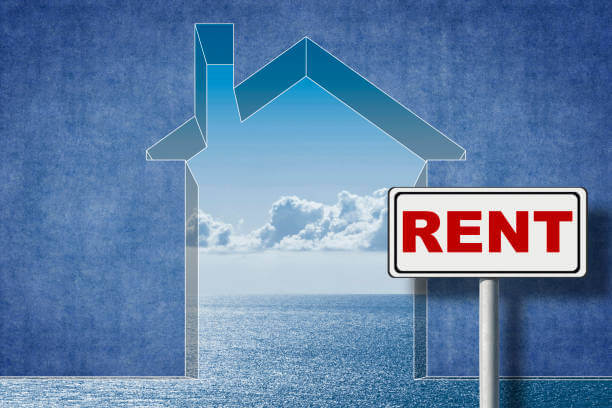 비혼 단독세대주