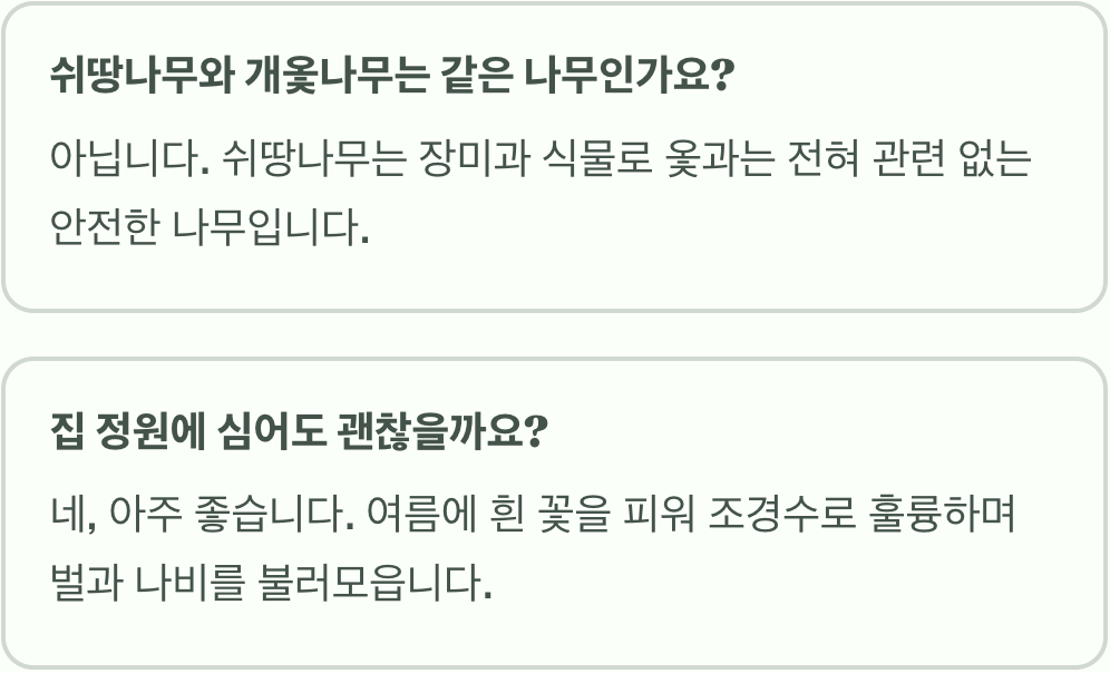 여름철 꿀 부족, 쉬땅나무가 정답인 이유 (개화 시기)