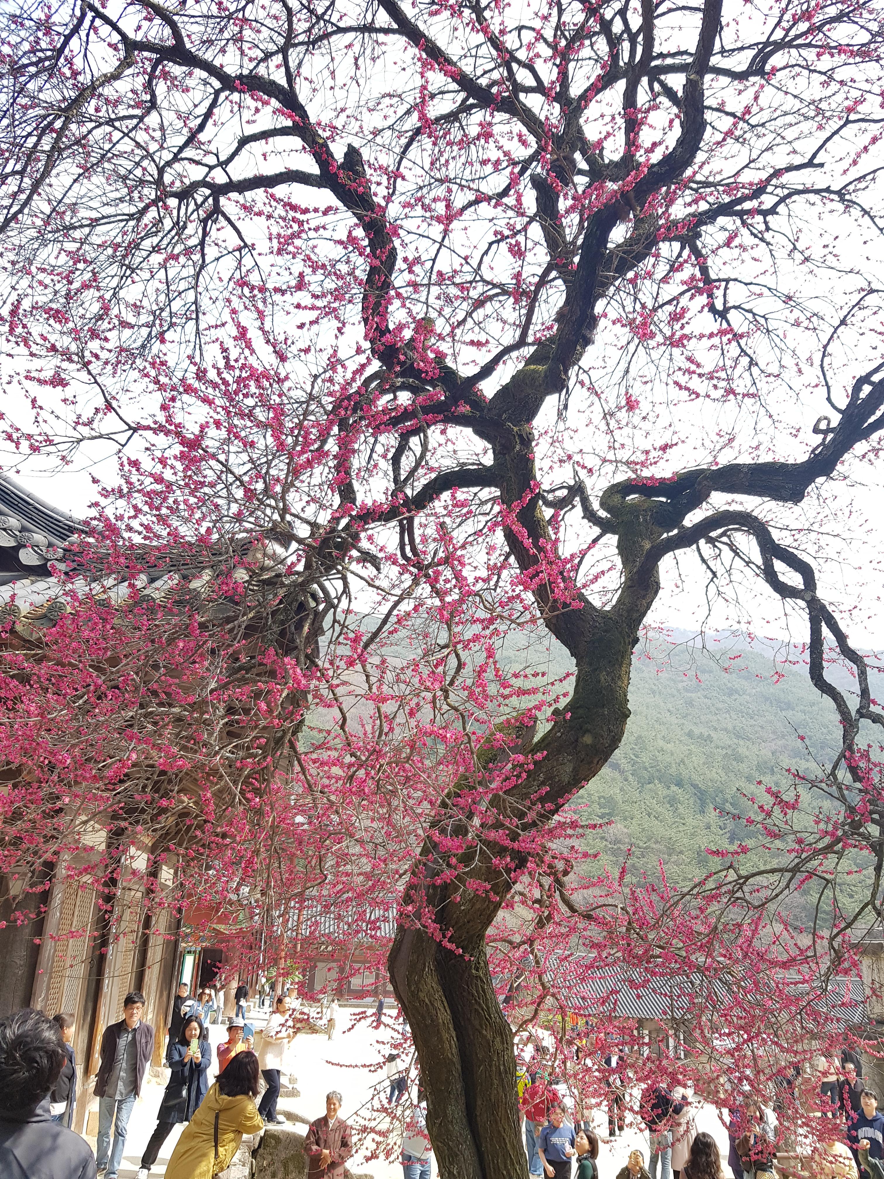 분당 율동공원 산책로 숨은 포토존