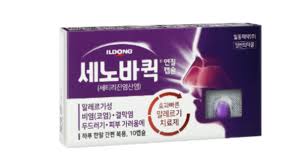 임산부 콧물약 비염약