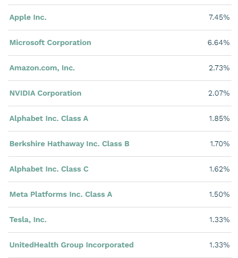S&P500 상위 10개 기업
