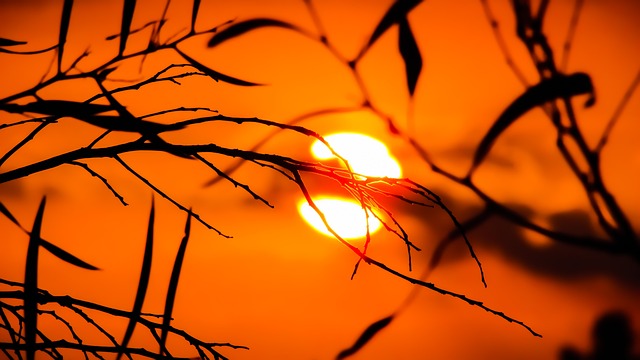 Sunlight Reflection 관련 이미지