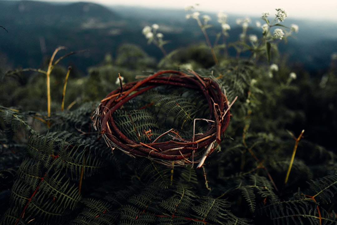 Crown